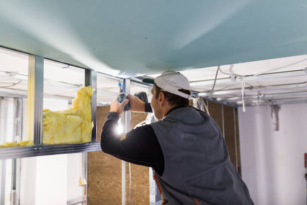 Best Commercial Insulation in Spring Lake Park, MN