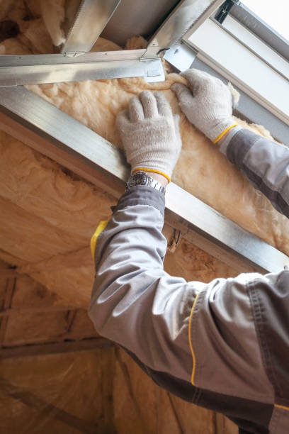 Best Insulation Maintenance and Repair in Spring Lake Park, MN