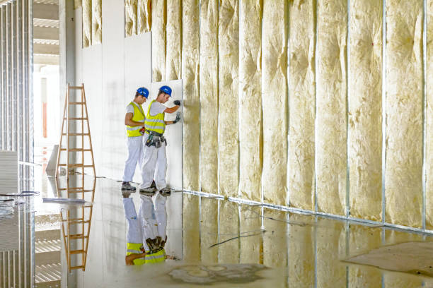 Best Commercial Insulation in Spring Lake Park, MN